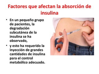 Factores que afectan la absorción de
               insulina
• En un pequeño grupo
  de pacientes, la
  degradación
  subcutánea de la
  insulina se ha
  observado,
• y esto ha requerido la
  inyección de grandes
  cantidades de insulina
  para el control
  metabólico adecuado.
 