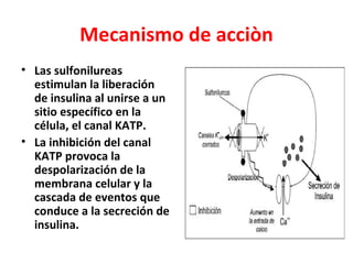 Mecanismo de acciòn
• Las sulfonilureas
  estimulan la liberación
  de insulina al unirse a un
  sitio específico en la
  célula, el canal KATP.
• La inhibición del canal
  KATP provoca la
  despolarización de la
  membrana celular y la
  cascada de eventos que
  conduce a la secreción de
  insulina.
 