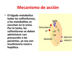Mecanismo de acciòn
• El hígado metaboliza
  todas las sulfonilureas,
  y los metabolitos se
  excretan en la orina.
  Por lo tanto, las
  sulfonilureas se deben
  administrar con
  precaución a los
  pacientes, ya sea con
  insuficiencia renal o
  hepática.
 