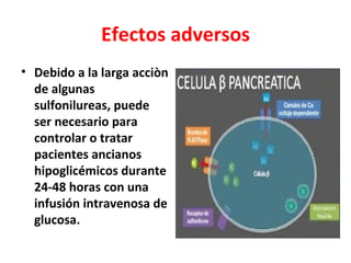 Efectos adversos
• Debido a la larga acciòn
  de algunas
  sulfonilureas, puede
  ser necesario para
  controlar o tratar
  pacientes ancianos
  hipoglicémicos durante
  24-48 horas con una
  infusión intravenosa de
  glucosa.
 
