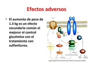 Efectos adversos
• El aumento de peso de
  1.3 kg es un efecto
  secundario común al
  mejorar el control
  glucémico con el
  tratamiento con
  sulfonilurea.
 