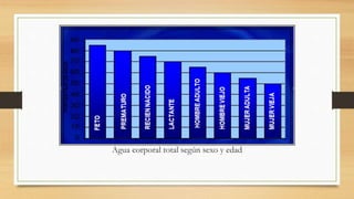 Agua corporal total según sexo y edad
 