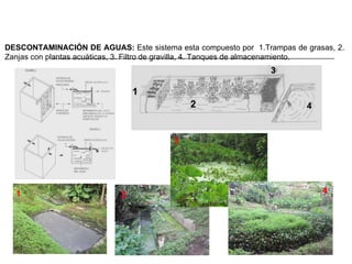 DESCONTAMINACIÓN DE AGUAS:  Este sistema esta compuesto por  1.Trampas de grasas,   2. Zanjas con plantas acuáticas, 3. Filtro de gravilla, 4. Tanques de almacenamiento.  1 2 3 4 1 2 3 4 
