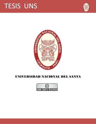 UNIVERSIDAD NACIONAL DEL SANTA
 