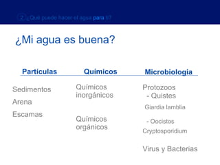 2 ¿Qué puede hacer el agua para ti?



¿Mi agua es buena?

  Partículas              Químicos      Microbiologia

Sedimentos             Químicos         Protozoos
                       inorgánicos       - Quistes
Arena
                                        Giardia lamblia
Escamas
                       Químicos          - Oocistos
                       orgánicos        Cryptosporidium

                                        Virus y Bacterias
 