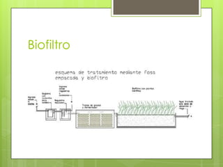Biofiltro
 