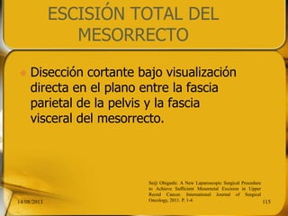 ESCISIÓN TOTAL DEL
MESORRECTO
 Disección cortante bajo visualización
directa en el plano entre la fascia
parietal de la pelvis y la fascia
visceral del mesorrecto.
14/08/2013 115
Seiji Ohigashi. A New Laparoscopic Surgical Procedure
to Achieve Sufficient Mesorectal Excision in Upper
Rectal Cancer. International Journal of Surgical
Oncology, 2011. P. 1-4
 