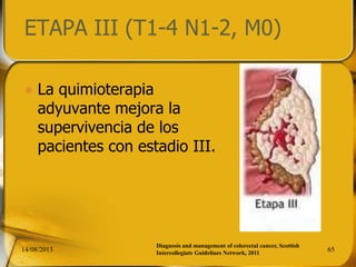 ETAPA III (T1-4 N1-2, M0)
 La quimioterapia
adyuvante mejora la
supervivencia de los
pacientes con estadio III.
14/08/2013 65
Diagnosis and management of colorectal cancer, Scottish
Intercollegiate Guidelines Network, 2011
 