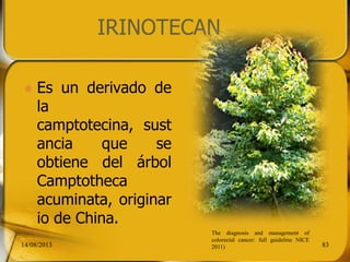 IRINOTECAN
 Es un derivado de
la
camptotecina, sust
ancia que se
obtiene del árbol
Camptotheca
acuminata, originar
io de China.
14/08/2013 83
The diagnosis and management of
colorectal cancer: full guideline NICE
2011)
 