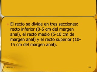  El recto se divide en tres secciones:
recto inferior (0-5 cm del margen
anal), el recto medio (5-10 cm de
margen anal) y el recto superior (10-
15 cm del margen anal).
14/08/2013 108
 
