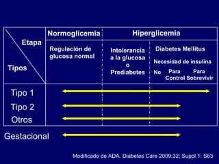Tipo 1 Tipo 2 Otros  Gestacional Modificado de ADA. Diabetes Care 2009;32; Suppl 1: S63 Tipos Etapa Normoglicemia Hiperglicemia Regulación de  glucosa normal Intolerancia a la glucosa o Prediabetes Diabetes Mellitus Necesidad de insulina No Para  Control Para  Sobrevivir 