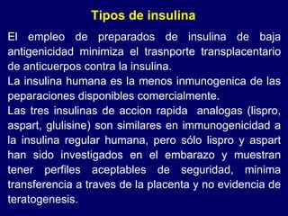El empleo de preparados de insulina de baja antigenicidad minimiza el trasnporte transplacentario de anticuerpos contra la insulina. La insulina humana es la menos inmunogenica de las peparaciones disponibles comercialmente.  Las tres insulinas de accion rapida  analogas (lispro, aspart, glulisine) son similares en immunogenicidad a la insulina regular humana, pero sólo lispro y aspart han sido investigados en el embarazo y muestran tener perfiles aceptables de seguridad, minima transferencia a traves de la placenta y no evidencia de teratogenesis. Tipos de insulina 