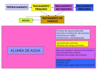 PRETRATAMIENTO TRATAMIENTO PRIMARIO TRATAMIENTO   SECUNDARIO TRATAMIENTO TERCIARIO TRATAMIENTO DE   FANGOS -                Entrada de aguas residuales Depósito e instalación de bombeo Desbastes por rejillas Desarenado y desengrasado   Decantación primaria Retirada de fangos primarios Reactor biológico de lecho bacteriano  Decantación secundaria Retirada de fangos secundarios Osmosis inversa Desinfección Vertido agua depurada canal regantes   A) LINEA DE AGUA BIOGÁS 