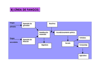   B) LÍNEA DE FANGOS: 