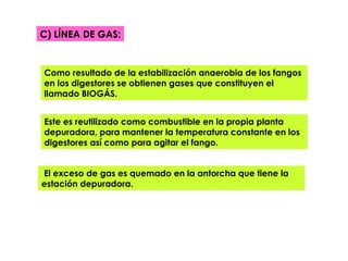 C) LÍNEA DE GAS: El exceso de gas es quemado en la antorcha que tiene la estación depuradora. Como resultado de la estabilización anaerobia de los fangos en los digestores se obtienen gases que constituyen el llamado BIOGÁS.  Este es reutilizado como combustible en la propia planta depuradora, para mantener la temperatura constante en los digestores así como para agitar el fango.  