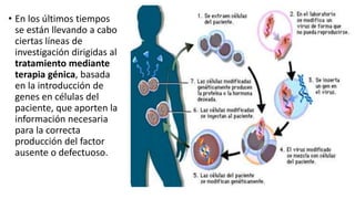 • En los últimos tiempos
se están llevando a cabo
ciertas líneas de
investigación dirigidas al
tratamiento mediante
terapia génica, basada
en la introducción de
genes en células del
paciente, que aporten la
información necesaria
para la correcta
producción del factor
ausente o defectuoso.
 