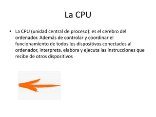 La CPU
• La CPU (unidad central de proceso): es el cerebro del
ordenador. Además de controlar y coordinar el
funcionamiento de todos los dispositivos conectados al
ordenador, interpreta, elabora y ejecuta las instrucciones que
recibe de otros dispositivos
 