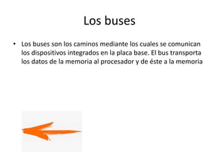 Los buses
• Los buses son los caminos mediante los cuales se comunican
los dispositivos integrados en la placa base. El bus transporta
los datos de la memoria al procesador y de éste a la memoria
 