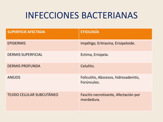 INFECCIONES BACTERIANAS
SUPERFICIE AFECTADA ETIOLOGÍA
EPIDERMIS Impétigo, Eritrasma, Erisipeloide.
DERMIS SUPERFICIAL Ecti...