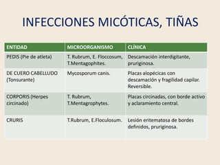 INFECCIONES MICÓTICAS, TIÑAS
ENTIDAD MICROORGANISMO CLÍNICA
PEDIS (Pie de atleta) T. Rubrum, E. Floccosum,
T.Mentagophites...