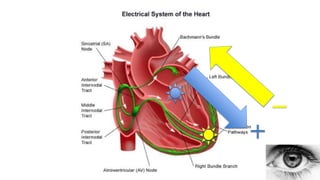 XII CURSO ANUAL DE POSTGRADO
Toma de decisiones e Cardiología y
Cirugía Cardiovascular
 
