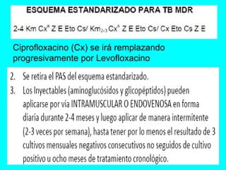 Ciprofloxacino (Cx) se irá remplazando 
progresivamente por Levofloxacino 
 