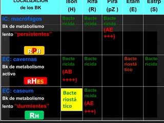 LOCALIZACIÓN 
de los BK 
Ison 
(H) 
Rifa 
(R) 
Pira 
(pZ ) 
Etam 
(E) 
Estrp 
(S) 
IC: macrófagos 
Bk de metabolismo 
lento “persistentes” 
Bacte 
ricida 
Bacte 
ricida 
Bacte 
ricida 
(AE 
+++) 
RPH 
EC: cavernas 
Bk de metabolismo 
activo 
Bacte 
ricida 
(AB 
++++) 
Bacte 
ricida 
Bacte 
riostá 
tico 
Bacte 
ricida 
EC: caseum 
Bk de metabolismo 
lento “durmientes” 
Bacte 
ricida 
(AE 
+++) 
RHES 
RH 
Bacte 
riostá 
tico 
 