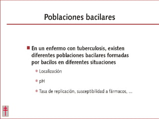 Tratamiento de la tuberculosis