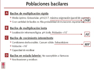Tratamiento de la tuberculosis
