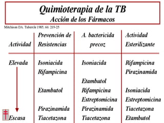 Tratamiento de la tuberculosis