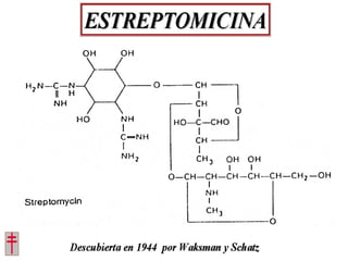 Tratamiento de la tuberculosis