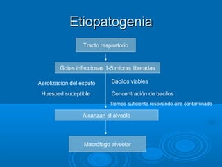 Etiopatogenia
                  Tracto respiratorio



        Gotas infecciosas 1-5 micras liberadas

Aerolizacion del esputo      Bacilos viables

 Huesped suceptible          Concentración de bacilos
                             Tiempo suficiente respirando aire contaminado

                  Alcanzan el alveolo




                  Macrófago alveolar
 