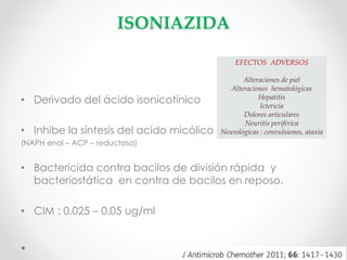 ISONIAZIDA
EFECTOS ADVERSOS

• Derivado del ácido isonicotínico
• Inhibe la síntesis del acido micólico

Alteraciones de piel
Alteraciones hematológicas
Hepatitis
Ictericia
Dolores articulares
Neuritis periférica
Neurológicas : convulsiones, ataxia

(NAPH enol – ACP – reductasa)

• Bactericida contra bacilos de división rápida y
bacteriostática en contra de bacilos en reposo.
• CIM : 0.025 – 0.05 ug/ml

 