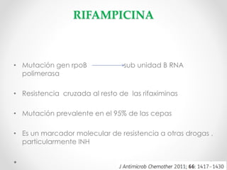 RIFAMPICINA

• Mutación gen rpoB
polimerasa

sub unidad B RNA

• Resistencia cruzada al resto de las rifaximinas
• Mutación prevalente en el 95% de las cepas
• Es un marcador molecular de resistencia a otras drogas ,
particularmente INH

 