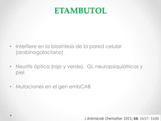 ETAMBUTOL

• Interfiere en la biosíntesis de la pared celular
(arabinogalactano)
• Neuritis óptica (rojo y verde), GI, neuropsiquiátricas y
piel
• Mutaciones en el gen embCAB

 