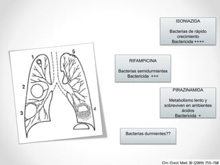 ISONIAZIDA
Bacterias de rápido
crecimiento
Bactericida ++++

RIFAMPICINA
Bacterias semidurmientes
Bactericida +++
PIRAZINAMIDA
Metabolismo lento y
sobreviven en ambientes
ácidos
Bactericida +

Bacterias durmientes??

 