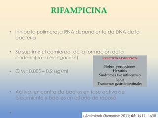RIFAMPICINA
• Inhibe la polimerasa RNA dependiente de DNA de la
bacteria

• Se suprime el comienzo de la formación de la
cadena(no la elongación)
EFECTOS ADVERSOS
• CIM : 0.005 – 0.2 ug/ml

Fiebre y erupciones
Hepatitis
Sindromes like influenza o
lupus
Trastornos gastrointestinales

• Activa en contra de bacilos en fase activa de
crecimiento y bacilos en estado de reposo

 
