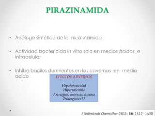 PIRAZINAMIDA

• Análogo sintético de la nicotinamida
• Actividad bactericida in vitro solo en medios ácidos e
intracelular
• Inhibe bacilos durmientes en las cavernas en medio
acido
EFECTOS ADVERSOS
Hepatotoxicidad
Hiperuricemia
Artralgias, anorexia, disuria
Teratogénica??

 