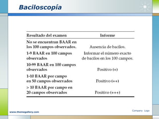 Baciloscopía
Company Logo
www.themegallery.com
 