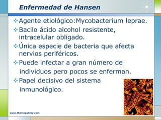 Enfermedad de Hansen
Agente etiológico:Mycobacterium leprae.
Bacilo ácido alcohol resistente,
intracelular obligado.
Única especie de bacteria que afecta
nervios periféricos.
Puede infectar a gran número de
individuos pero pocos se enferman.
Papel decisivo del sistema
inmunológico.
Company Logo
www.themegallery.com
 