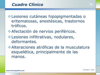 Cuadro Clínico
Lesiones cutáneas hipopigmentadas o
eritematosas, anestésicas, trastornos
tróficos.
Afectación de nervios periféricos.
Lesiones infiltrativas, nodulares,
deformantes.
Alteraciones atróficas de la musculatura
esquelética, principalmente de las
manos.
Company Logo
www.themegallery.com
 