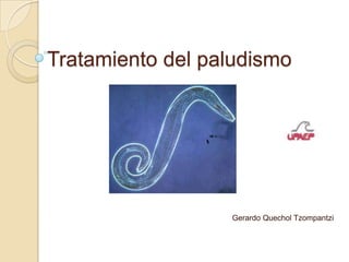 Tratamiento del paludismo




                  Gerardo Quechol Tzompantzi
 