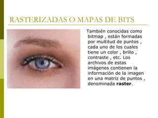 Matlab Bit Raster Tratamiento digital de imagenes | PPT