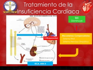Tratamiento de la
Insuficiencia Cardíaca
GC
Disminuye
Mecanismos Compensatorios
Sistema RAA
Sistema Nervioso Simpático
IEC...