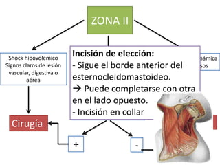 ZONA II

 Shock hipovolemico
                          Incisión hemodinámica Estabilidad hemodinámica
                           Estabilidad
                                        de elección:
Signos claros de lesión   - Sigue eldudosos anterior signos dudosos
                                 Signos borde           Sin del
 vascular, digestiva o
         aérea            esternocleidomastoideo.
                           Puede completarse con otra
                           Procedimientos diagnósticos:
                          en el lado opuesto.
                                    Angiografía
                               Traqueobroncoscopia
                          -Esofagograma y en collar
                            Incisión esofagoscopia
  Cirugía                                               Observación

                          +                  -
 