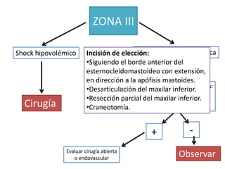 ZONA III

Shock hipovolémico                       Estabilidad hemodinámica
                        Incisión de elección:
                        •Siguiendo el borde anterior del
                        esternocleidomastoideo con extensión,
                        en dirección a la apófisis mastoides.
                                            Procedimientos diagnósticos:
                        •Desarticulación del maxilar inferior.
                                                Examen bucofaríngeo
                        •Resección parcial del maxilar inferior.
                                                    Laringoscopia
  Cirugía               •Craneotomía.            Eventual angiografía



                                                +             -
               Evaluar cirugía abierta
                  o endovascular
                                                          Observar
 