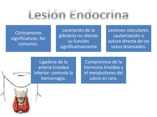 Laceración de la     Lesiones vasculares:
  Clínicamente
                        glándula no alteran      cauterización o
significativas: No
                             su función        sutura directa de los
    comunes.
                        significativamente      vasos lesionados.


              Ligadura de la        Compromiso de la
             arteria tiroidea       hormona tiroidea y
           inferior: controla la    el metabolismo del
               hemorragia.             calcio es raro.
 