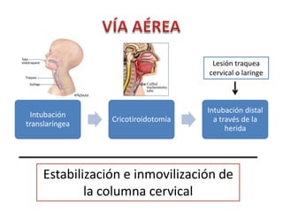 Lesión traquea
                                     cervical o laringe



                                     Intubación distal
 Intubación
                 Cricotiroidotomía     a través de la
translaríngea
                                           herida




     Estabilización e inmovilización de
             la columna cervical
 