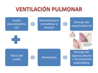 Lesión      Neumotórax/n
                                 Drenaje del
pleural/pulmo    eumotórax a
                               espacio pleural
     nar           tensión




                                 Drenaje del
  Vasos del                    espacio pleural
                 Hemotórax
   cuello                      + Cervicotomía
                                 exploradora
 