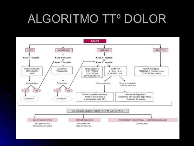 (2012-10-04)Tratamiento integral del dolor oncologico en (2012-10-04)Tratamiento integral del dolor oncologico en